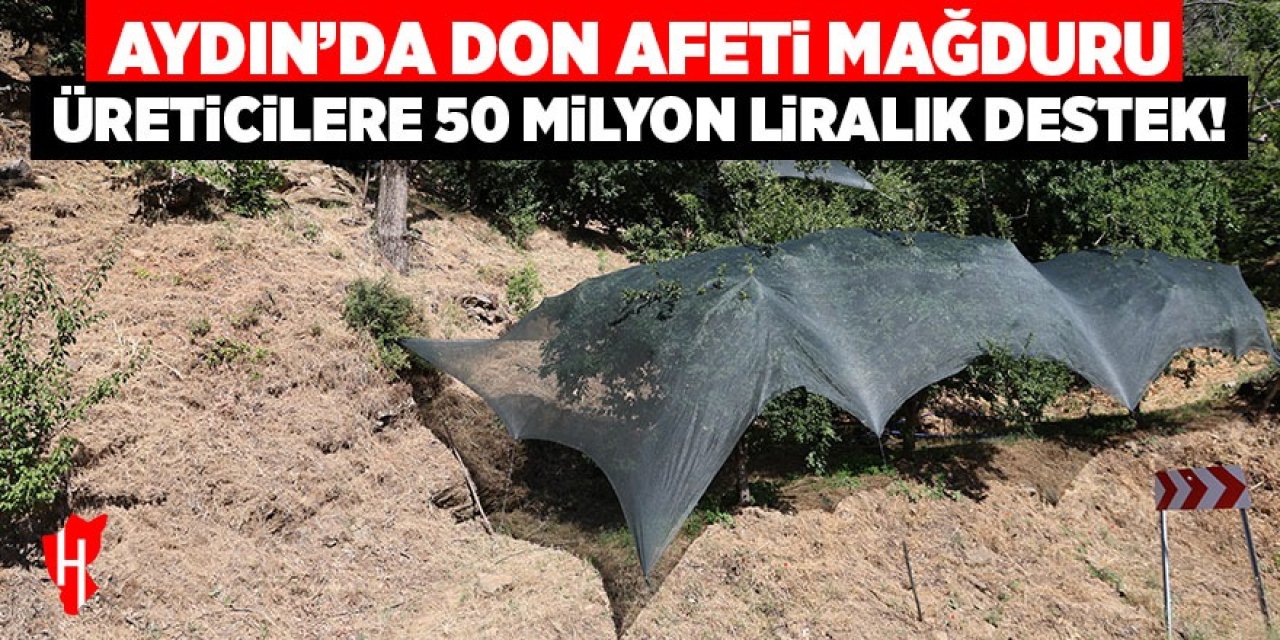 Aydın’da don afeti mağduru üreticilere 50 milyon liralık destek