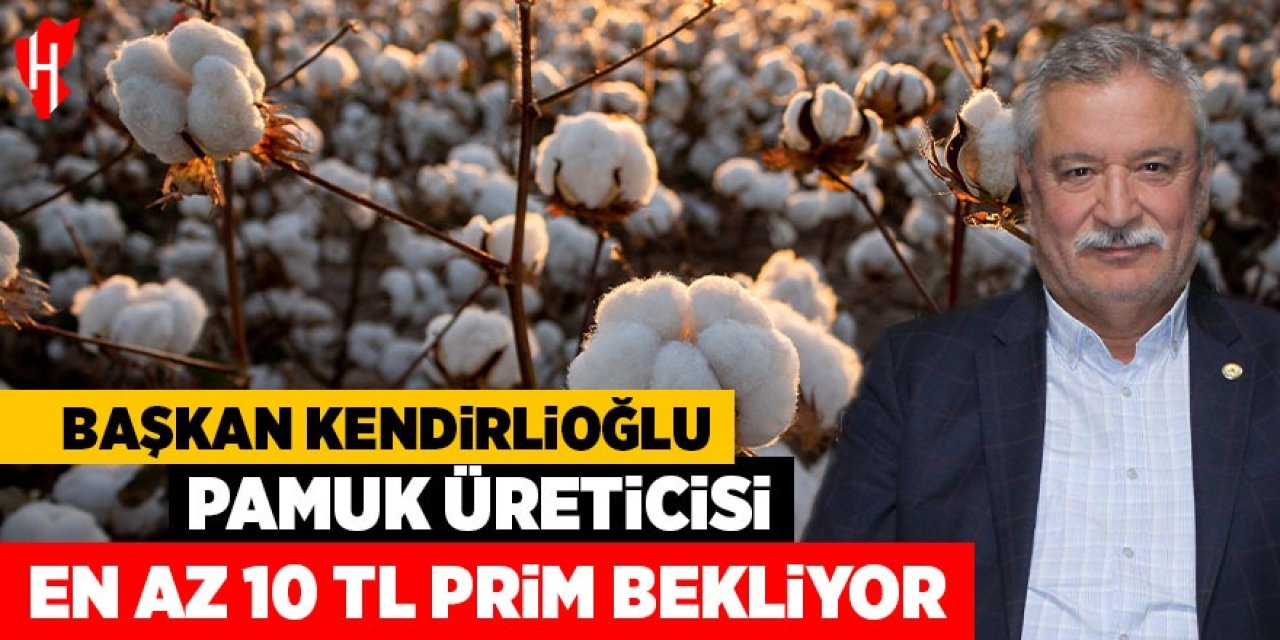 Pamuk üreticisi en az 10 TL prim bekliyor