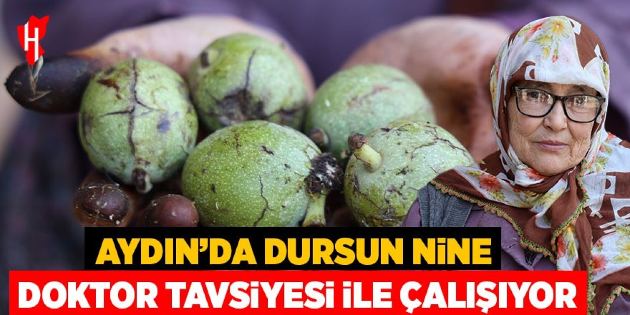 Aydın'da Dursun nine doktor tavsiyesi ile çalışıyor