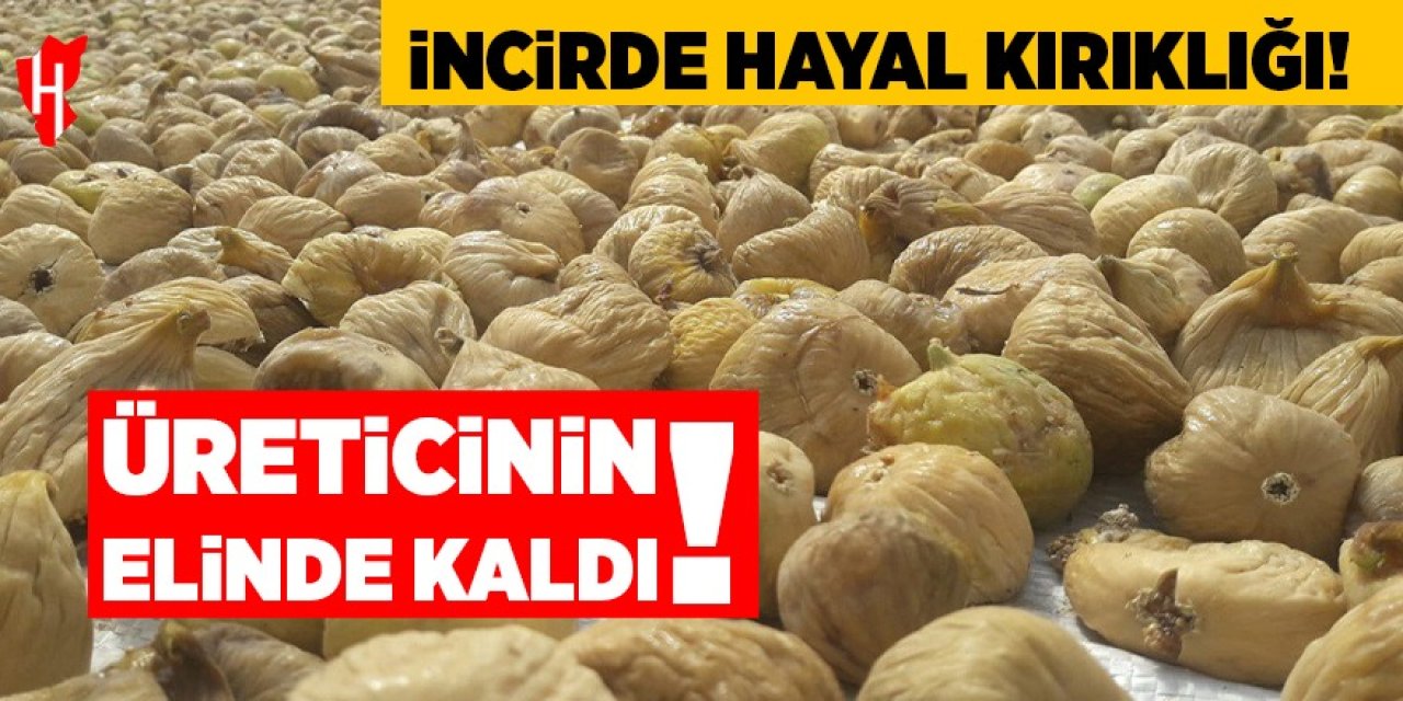 Aydın'da kuru incir üreticinin elinde kaldı!