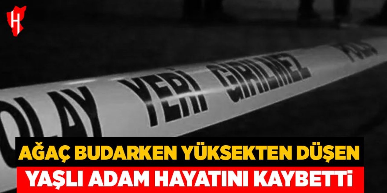 Ağaç budarken yüksekten düşen yaşlı adam hayatını kaybetti