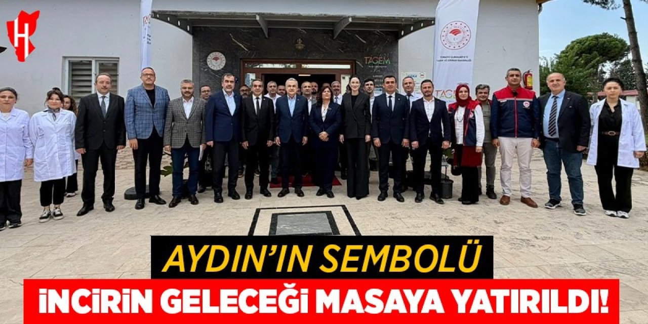 İncirin geleceği masaya yatırıldı