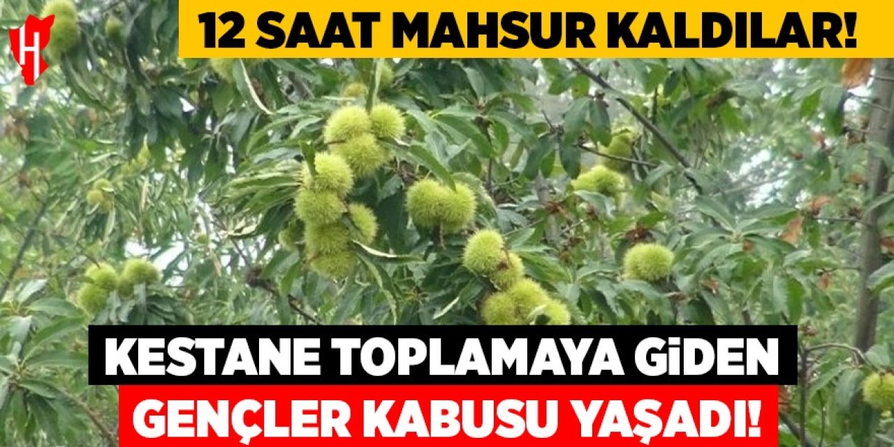 Kestane toplamaya giden gençler kabusu yaşadı: 12 saat mahsur kaldılar!