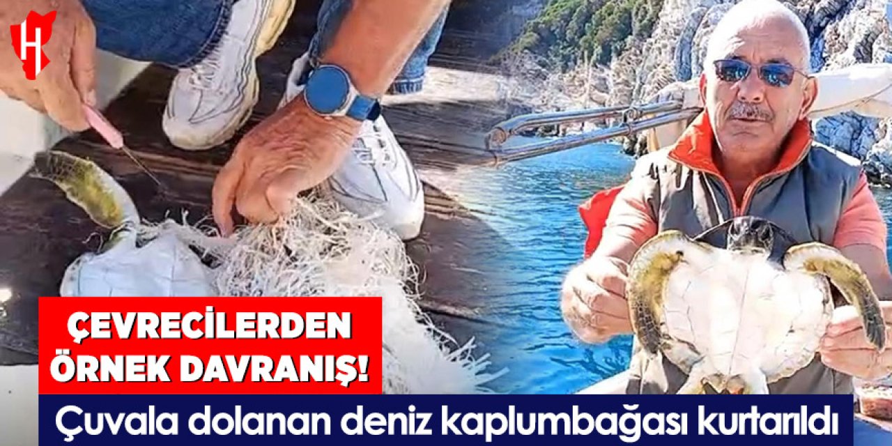 Çevrecilerden örnek davranış: Çuvala dolanan yavru deniz kaplumbağası kurtarıldı
