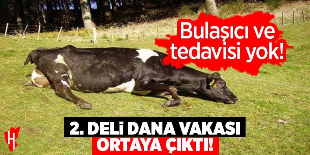 2. deli dana vakası! Bulaşıcı ve tedavisi yok!