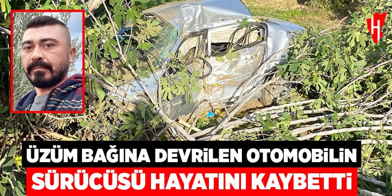 Üzüm bağına devrilen otomobilin sürücüsü hayatını kaybetti