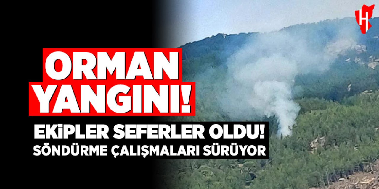 Orman yangını: Ekipler bölgeye seferler oldu