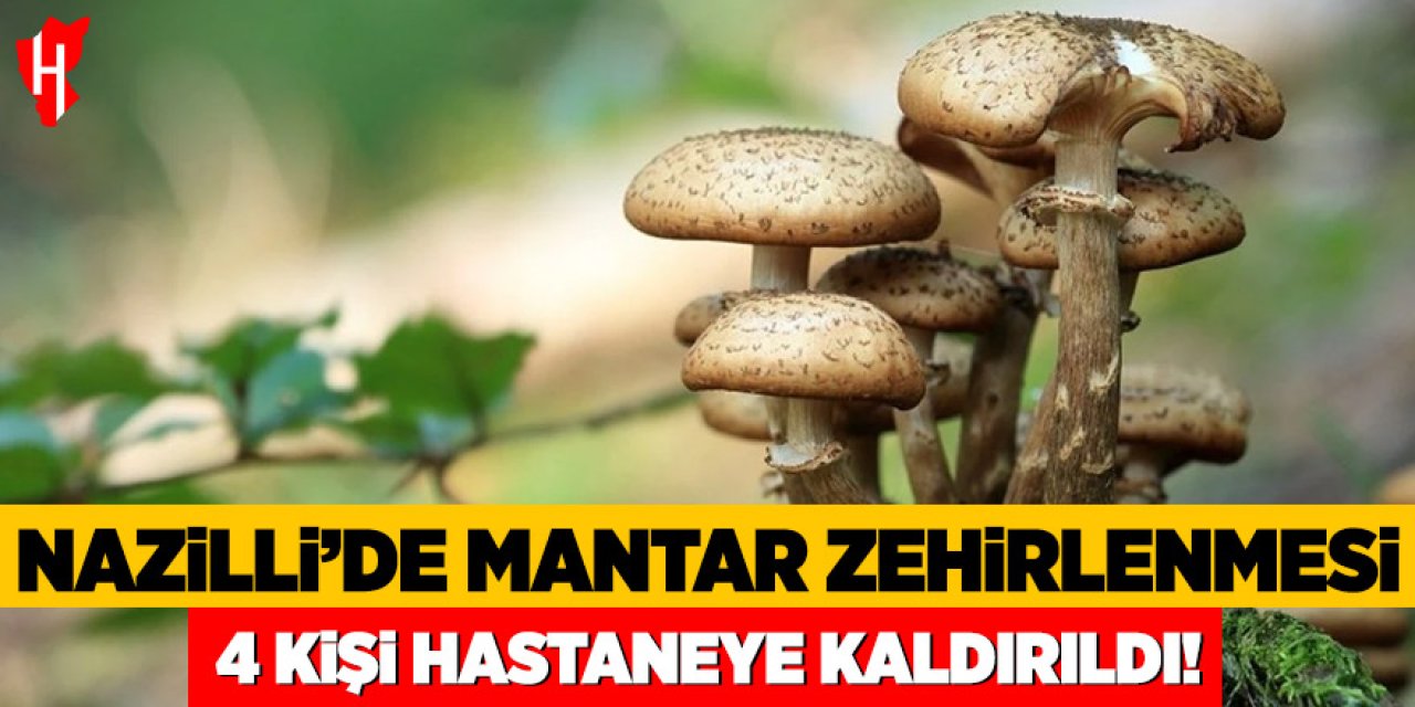 Nazilli'de mantar zehirlenmesi: 4 kişi hastaneye kaldırıldı