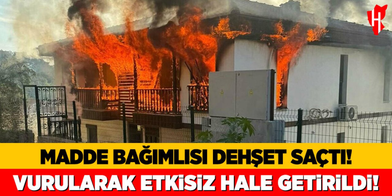 Evi yaktı, 2 jandarmayı yaraladı: Vurularak etkisiz hale getirildi