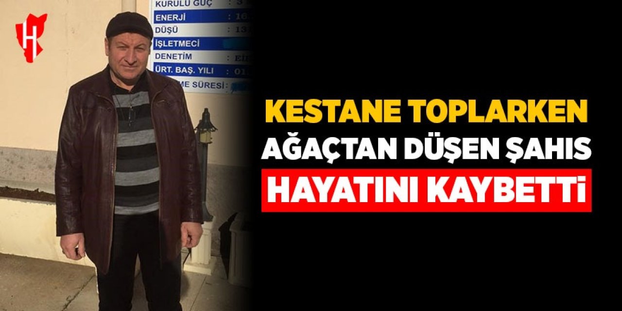 Kestane toplarken ağaçtan düşen vatandaş hayatını kaybetti