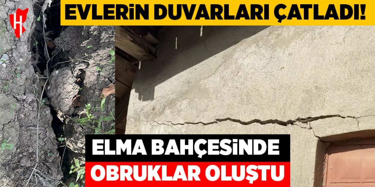Elma bahçesinde obruklar oluştu: Evlerin duvarları çatladı!