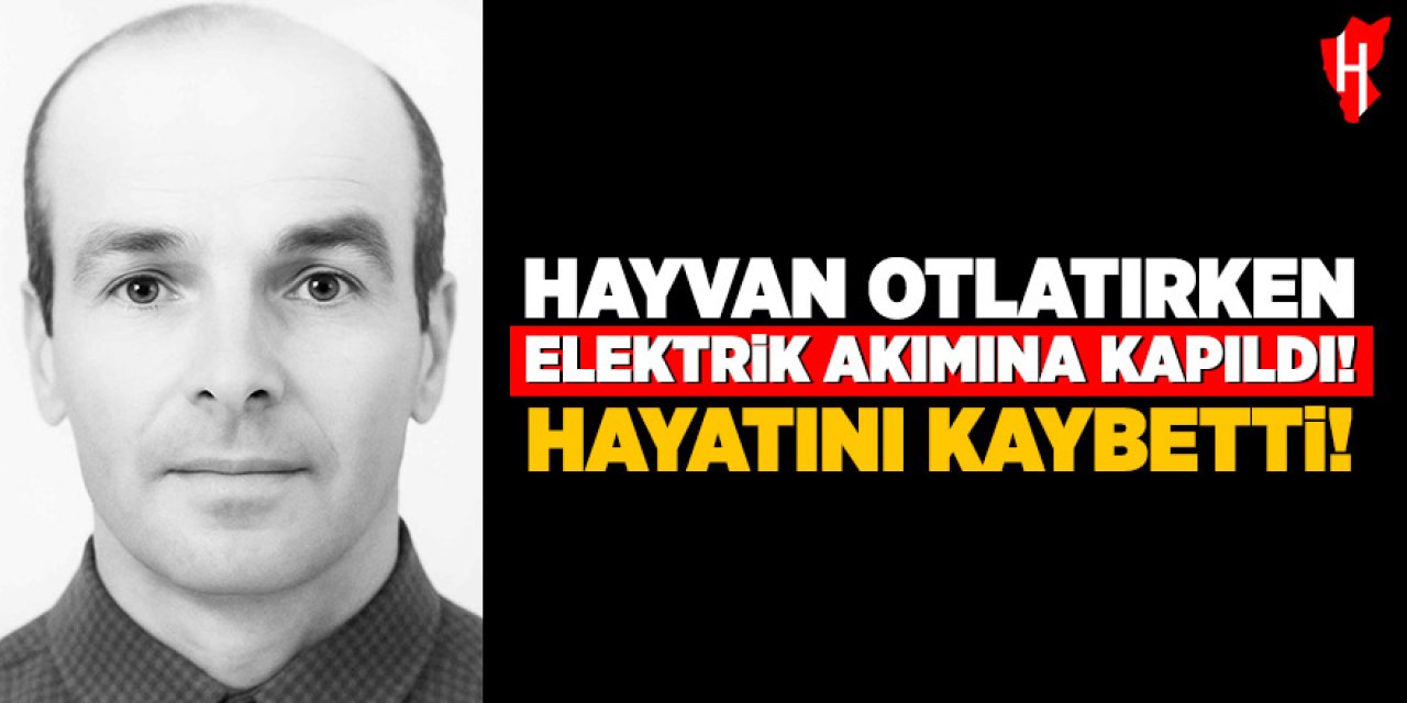 Hayvan otlatırken elektrik akımına kapıldı hayatını kaybetti