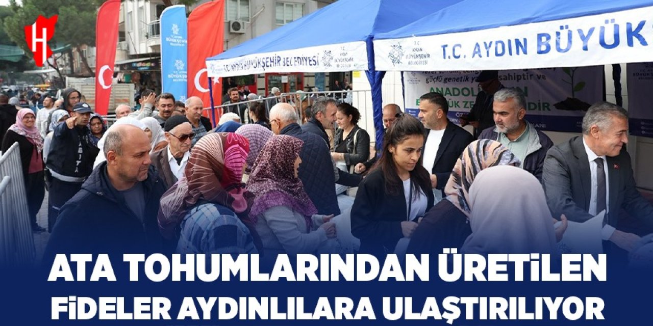 Ata tohumlarından üretilen fideler Aydınlılara ulaştırılıyor