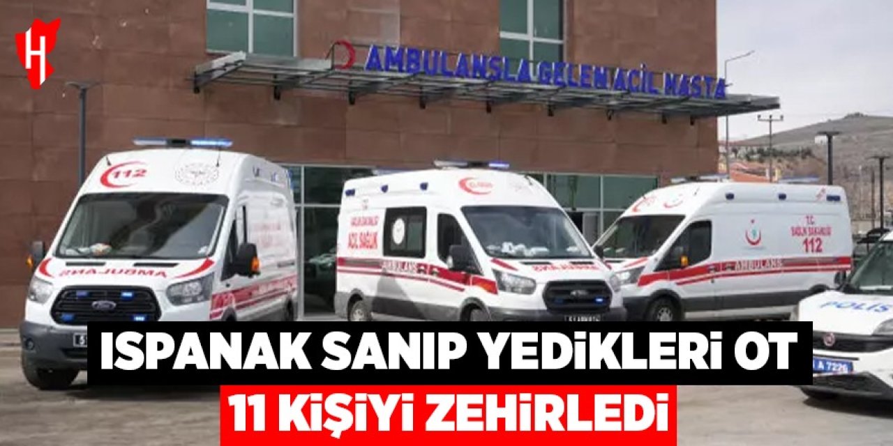 Ispanak sanıp yedikleri ot 11 kişiyi zehirledi