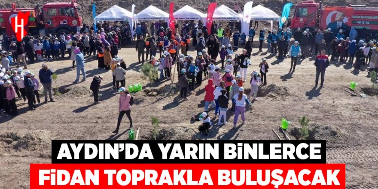 Aydın’da yarın binlerce fidan toprakla buluşacak