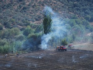 AYDEM çiftçiyi canından bezdirmeye başladı