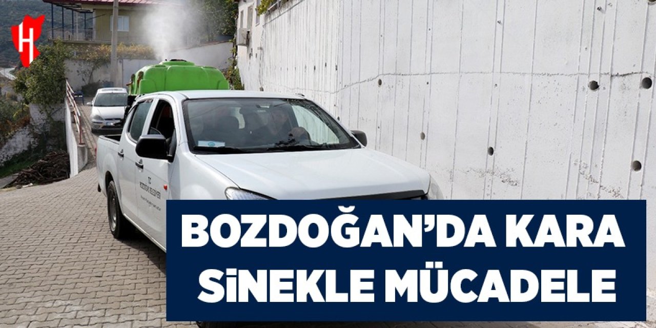 Bozdoğan’da karasinekle mücadele