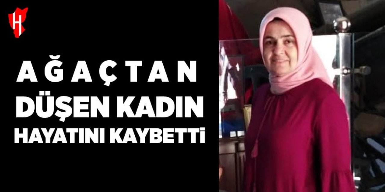 Ağaçtan düşen kadın hayatını kaybetti