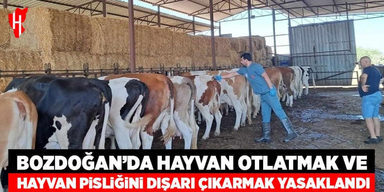Bozdoğan’da hayvan otlatmak ve hayvan pisliğini dışarı çıkarmak yasaklandı