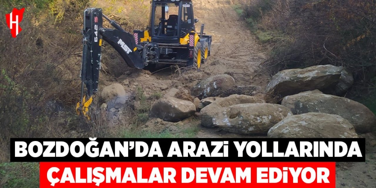 Bozdoğan’da arazi yollarında çalışmalar devam ediyor