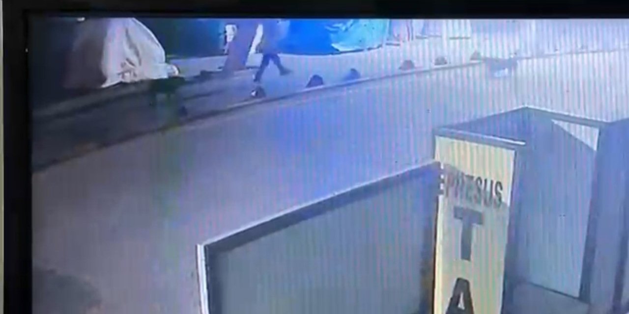 Aydın’da kendisine saldıran sokak köpeğini vuran emekli asker serbest bırakıldı