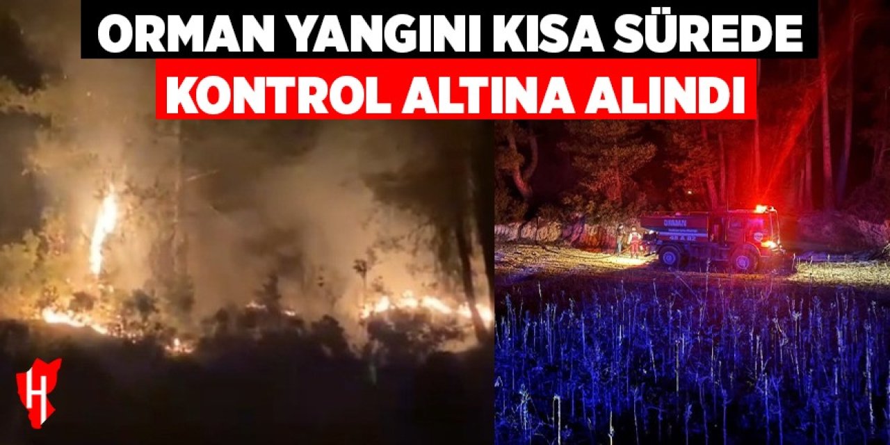 Orman yangını kısa sürede kontrol altına alındı