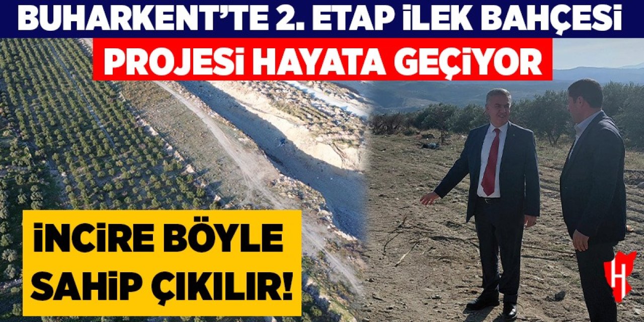 İncire böyle sahip çıkılır! Buharkent’te 2. Etap ilek bahçesi projesi hayata geçiyor!