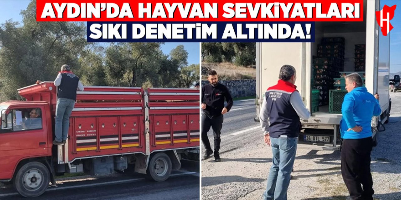Aydın'da hayvan sevkiyatları sıkı denetim altında