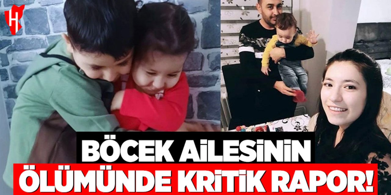 Böcek ailesinin ölümünde kritik rapor: Gıda değil, ortam zehirledi