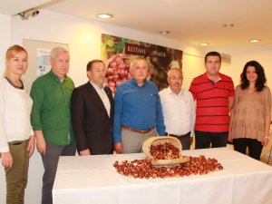 Sezonun İlk Kestanesi Borsaya Teslim Edildi