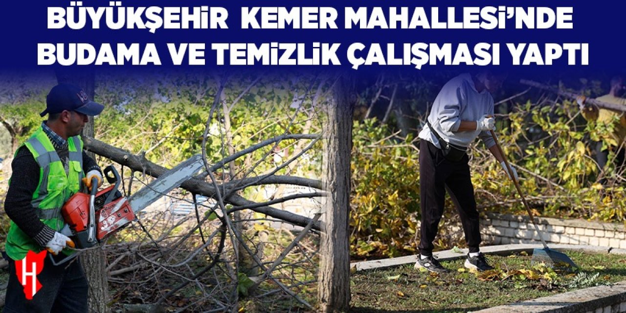 Aydın Büyükşehir Kemer Mahallesi'nde budama ve temizlik çalışması gerçekleştirdi
