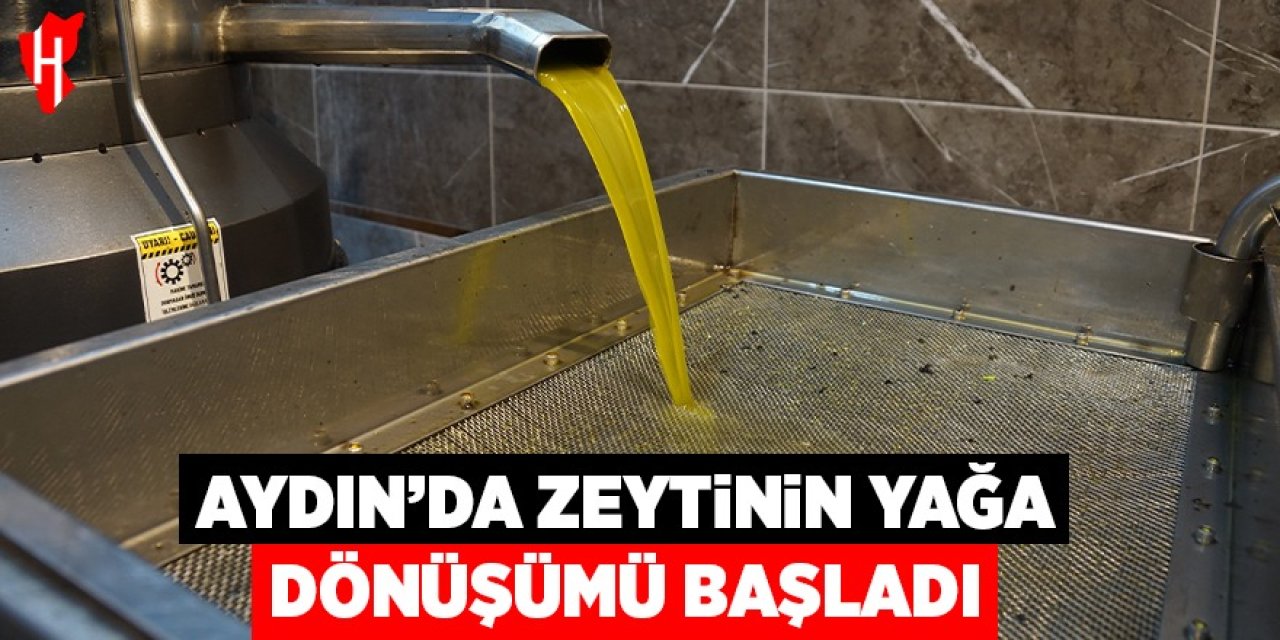 Aydın’da zeytinin yağa dönüşümü başladı