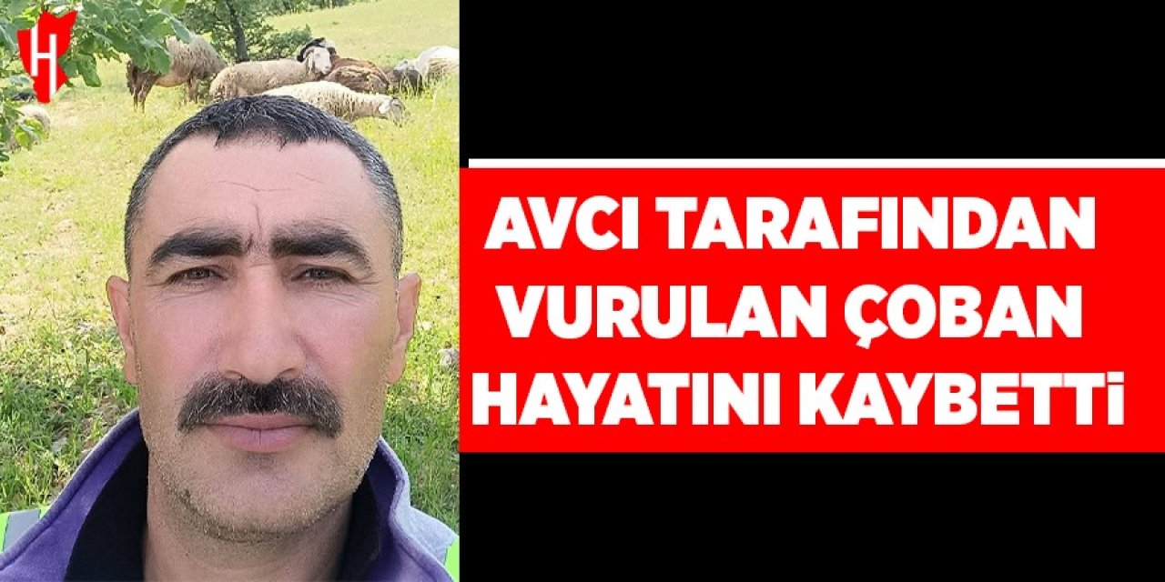 Avcı tarafından vurulan çoban hayatını kaybetti