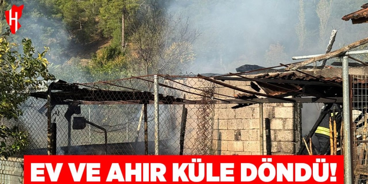 Ev ve ahır küle döndü