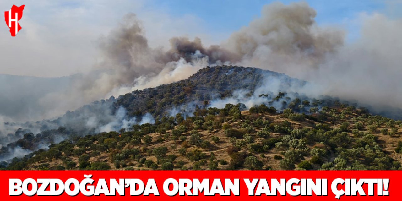 Bozdoğan’da orman yangını çıktı!