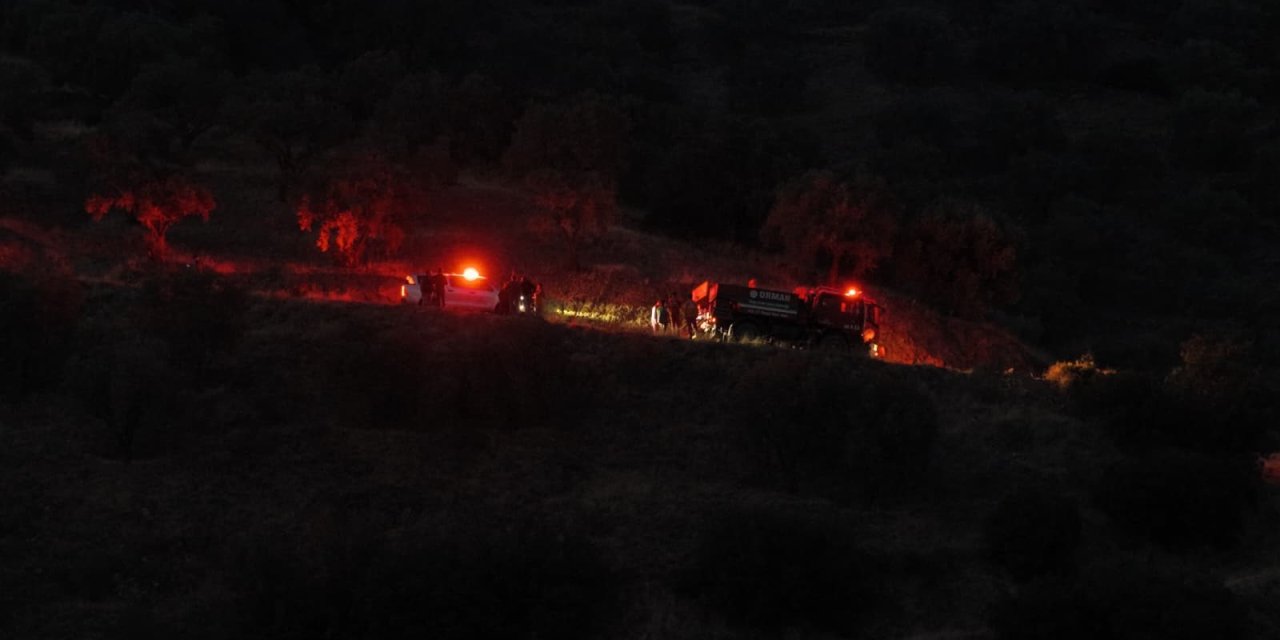 Bozdoğan’daki orman yangını kontrol altına alındı