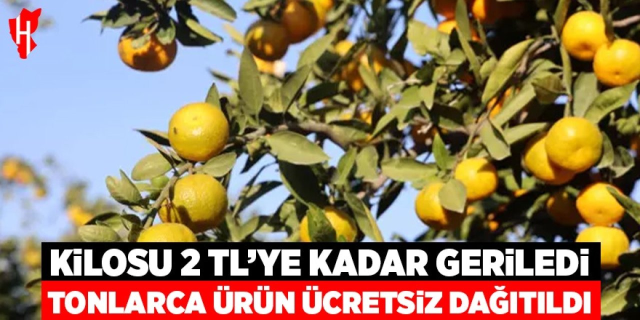 Kilosu 2 liraya kadar gerileyince tonlarca ürün ücretsiz dağıtıldı