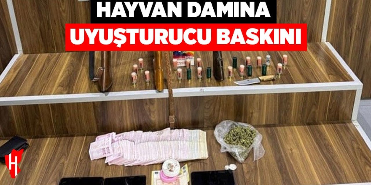 Hayvan damına uyuşturucu baskını: 2'si satıcı 3 şüpheli yakalandı