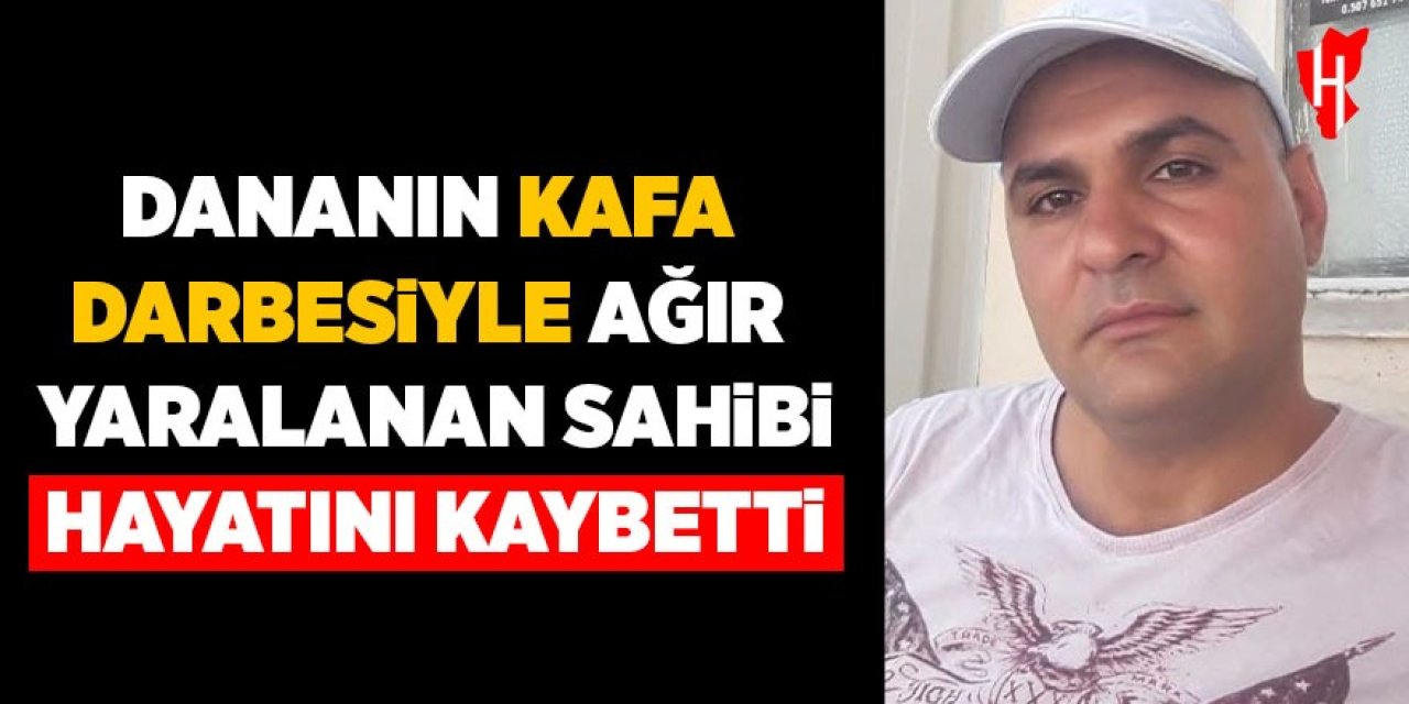 Dananın kafa darbesiyle ağır yaralanan sahibi hayatını kaybetti