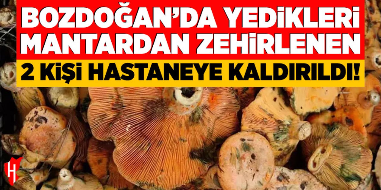 Bozdoğan'da yedikleri mantardan zehirlenen iki kişi hastaneye kaldırıldı