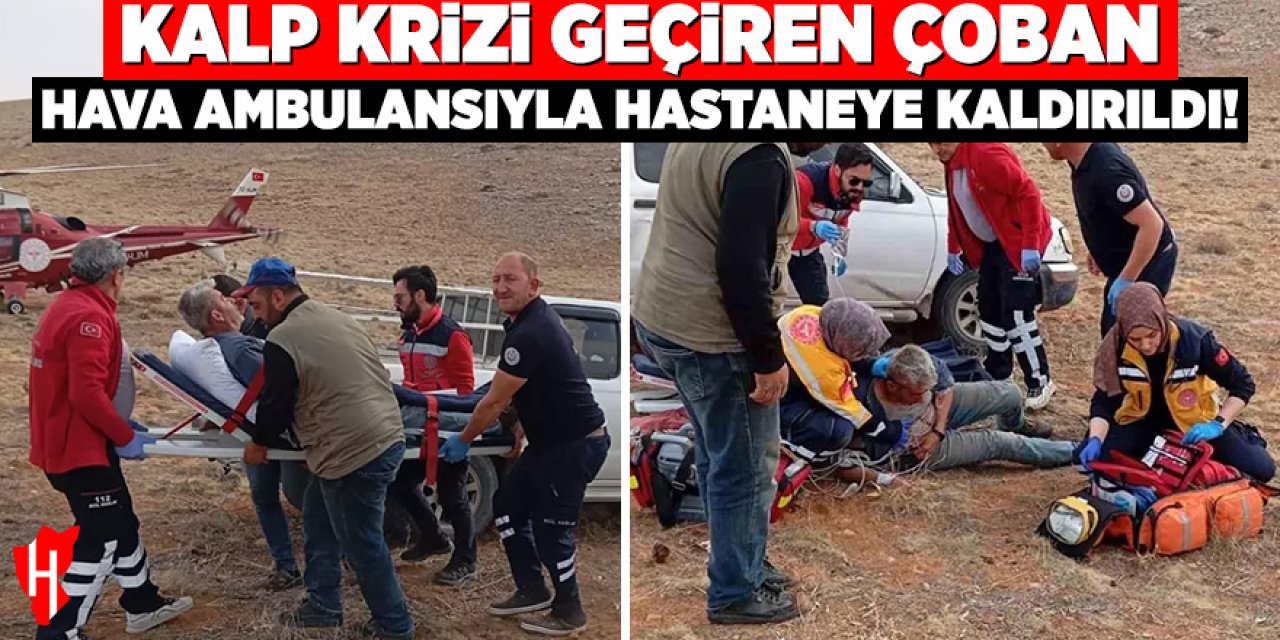 Kalp krizi geçiren çoban hava ambulansıyla hastaneye kaldırıldı