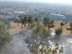Aydın’da Arazi Yangını Korkuttu