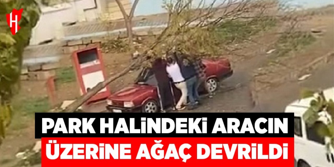Park halindeki otomobilin üzerine ağaç devrildi