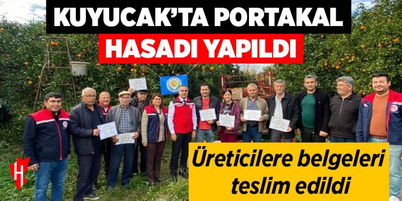 Kuyucak’ta portakal hasadı yapıldı