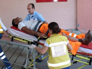 Aydın'da Acemi Kasaplar Hastanelere Koştu