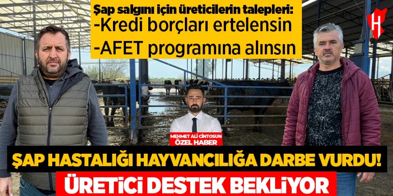 Şap hastalığı hayvancılık sektörüne darbe vurdu! Üretici devletten destek bekliyor