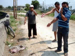 Gömülmeyen Sakatatlar Tehlike Saçıyor