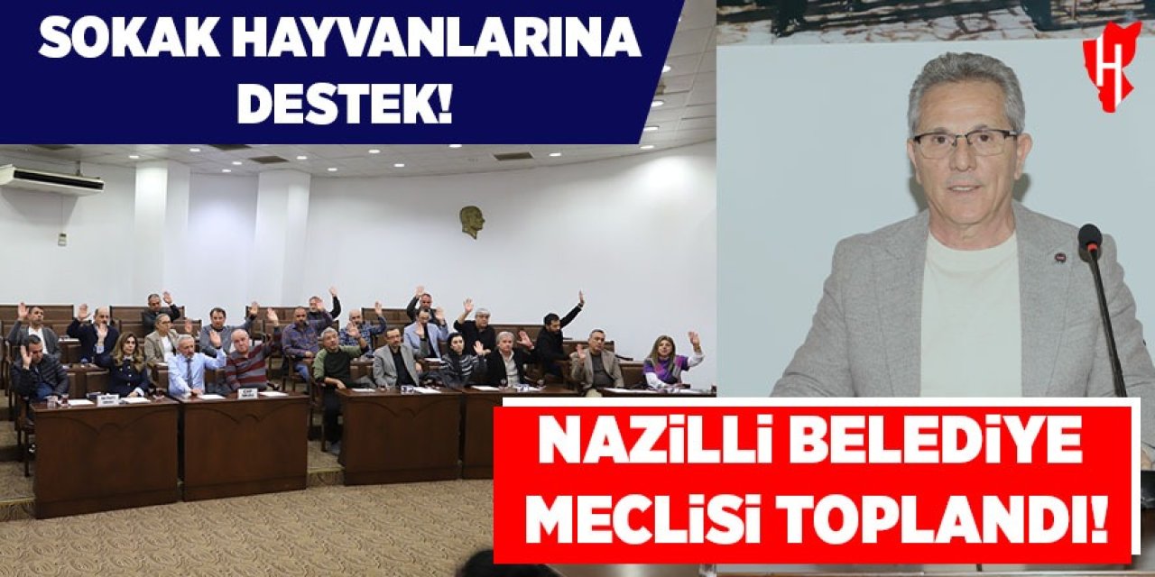 Nazilli Belediye Meclisi toplandı: Sokak hayvanlarına destek