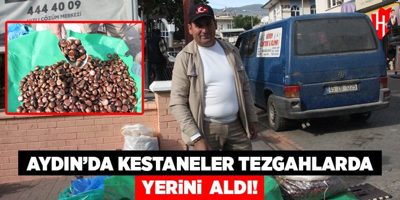 Aydın'da kestaneler tezgahlarda yerini aldı