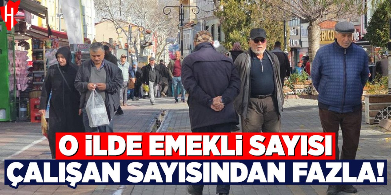 O ilde çalışandan çok emekli var!
